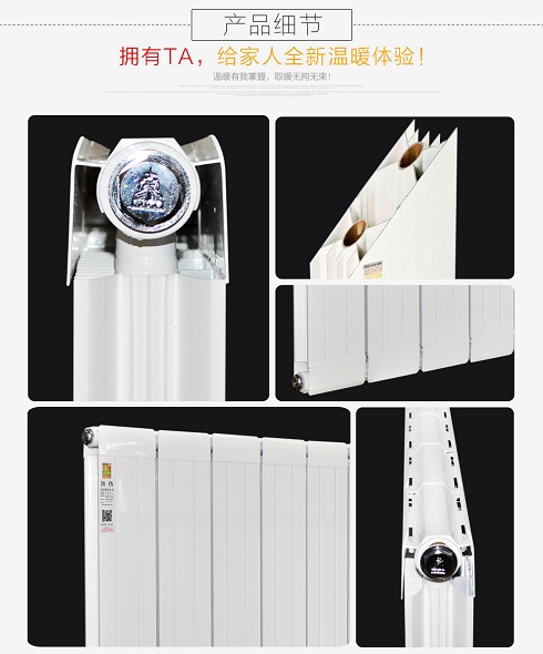 中國(guó)十大暖氣片排行榜